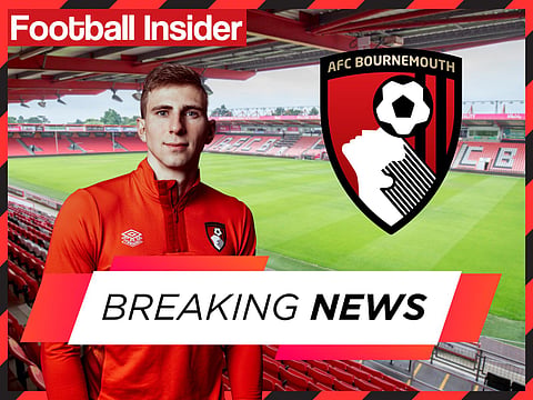 Sources: Bournemouth £20m star Illia Zabarnyi ruled out until April in crushing blow