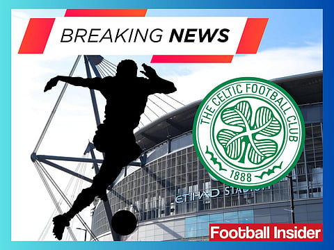 Sources: Celtic, Stoke City and Watford plotting to sign Man City star Anderson