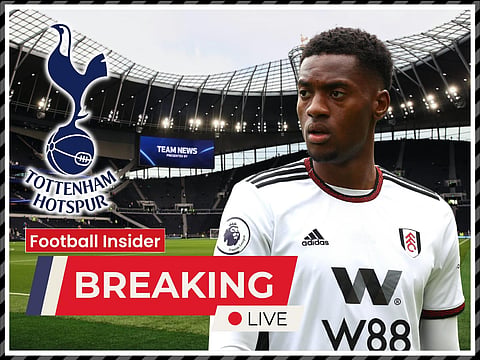 Tottenham now set sights on Fulham star Adarabioyo - sources