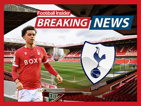 Sources: Brennan Johnson wants to join Tottenham after new talks