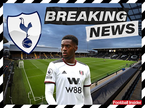 Sources: Door opens for Tottenham to sign Adarabioyo after Fulham development