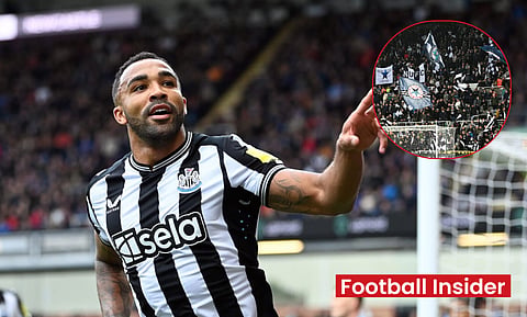 Newcastle to 'terminate Callum Wilson's contract' after 'disastrous' news