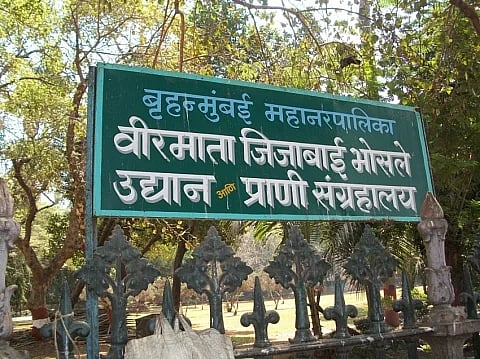 वीरमाता जिजाबाई भोसले उद्यान व प्राणीसंग्रहालयात सिंह, कोल्हा, अस्वल या पाहुण्यांचे आगमन होणार