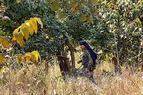 दोन जहाल नक्षलवाद्यांचे आत्मसमर्पण