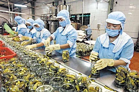 अन्न प्रक्रिया उद्योगासाठी किसान संपदा योजनेअंतर्गत मागवले अर्ज