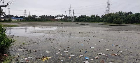 लोखंडवाला तलावाला कांदळवन म्हणून घोषित करण्याचे निर्देश