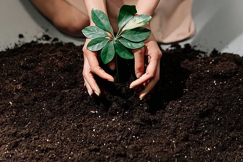 अण्णासाहेब वर्तक महाविद्यालयात वृक्षारोपण कार्यक्रमाचे आयोजन