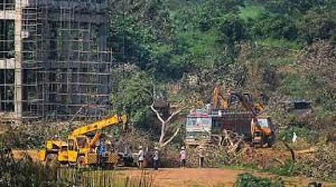 आम आदमी पक्षाचा आरे वाचवण्यासाठी पुढाकार