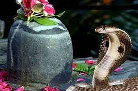 नागपंचमी साजरी करताना...