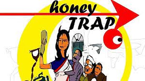 हनी ट्रॅप - पेग्वीन ट्रॅप