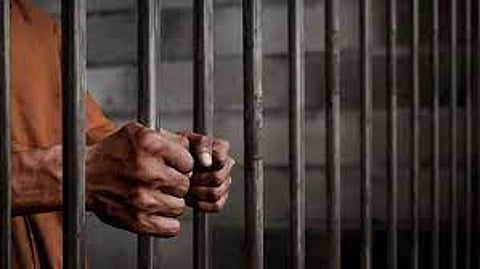 पिस्तूल विक्रीसाठी आलेला तरुण अटकेत; पोलिसांनी सापळा रचून घेतले ताब्यात