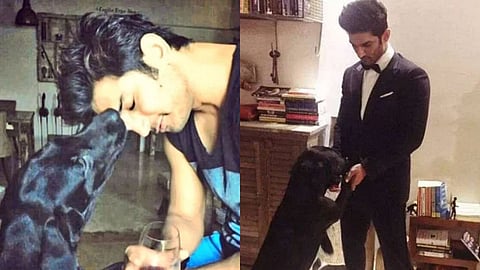 अभिनेता सुशांतसिंग राजपूतच्या लाडक्या 'फज'चे निधन; चाहते झाले भावुक