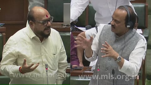 "शिशो के घरो मै रेहनवाले..." नागालँडवरून गुलाबराव पाटील-अजित पवारांमध्ये खडाजंगी, मुख्यमंत्र्यांचा टोला