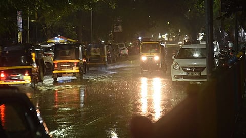 चाहूल पावसाची, धोका लेप्टोचा!