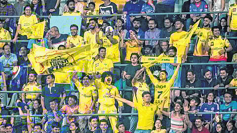 मुंबई इंडियन्सच्या संघात मुंबईचे खेळाडू किती?