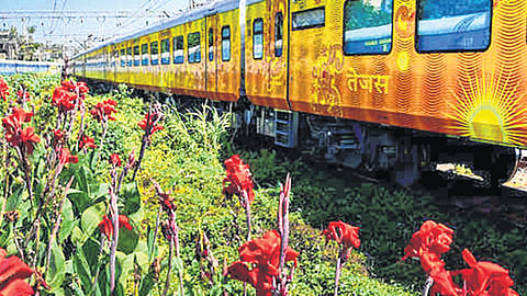 मध्य रेल्वेच्या १५ स्थानकांवर उद्यानांची निर्मिती