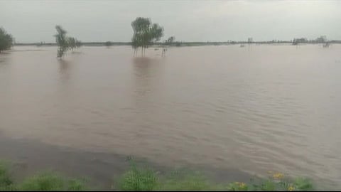 पंजाब हरियाणात पावसाचे थैमान ; ५५ लोकांचा मृत्यू तर हजारो लोकांचं स्थलांतर