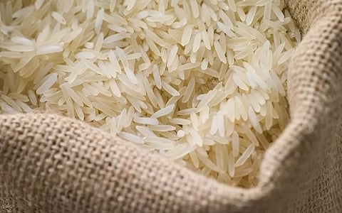 बासमती तांदळाच्या निर्यातीवर बंदी ; केंद्राचा मोठा निर्णय