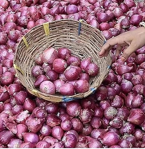 महिनाभर उशिराने लाल कांदा दाखल