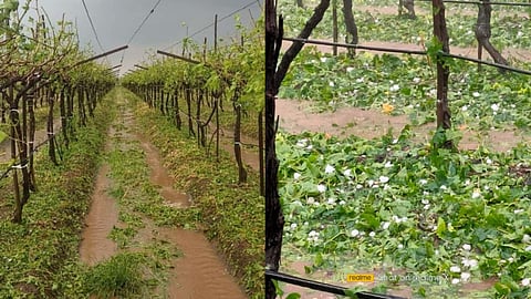 प्रातिनिधिक छायाचित्र