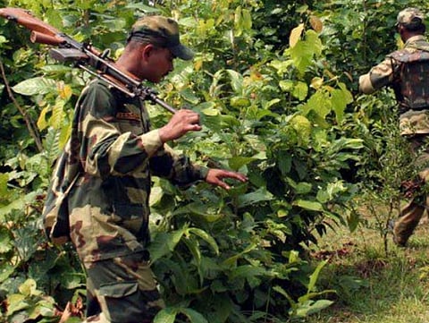 महाराष्ट्र, छत्तीसगडमध्ये नक्षलवादी कारवाया वाढवण्याच्या हालचाली ;सीआरपीएफची अन्य सुरक्षा यंत्रणांना माहिती