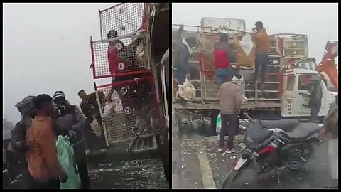 Video | ‘तो’ मदत मागत होता अन् लोक कोंबड्या चोरत होते; वाहनचालकाने सांगितला रडकुंडीला आणणारा अनुभव