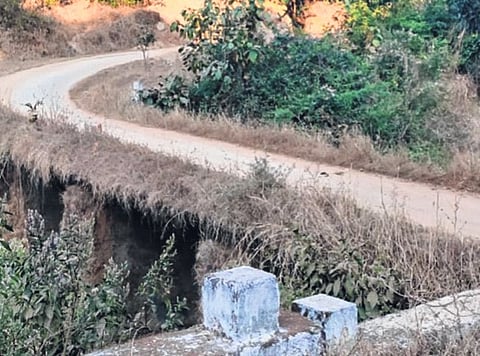 उधळे-हट्टीपाड्याचा पूल धोकादायक: बांधकाम विभागाचे दुर्लक्ष; लोकप्रतिनिधीही बेफिकीर