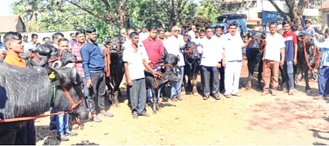 युवकांनी दूग्ध व्यवसायाच्या माध्यमातून आपली प्रगती साधावी; गोकुळचे चेअरमन अरुण डोंगळे यांचे प्रतिपादन