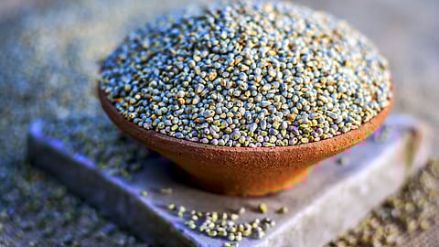 हिवाळ्यात 'बाजरी' खा आणि 'या' आजारांपासुन दूर रहा