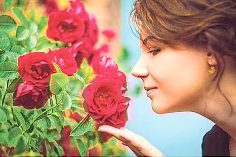 गंधज्ञान हरवलेल्यांना स्मेल ट्रेनिंग; वास घेण्याची क्षमता सुधारण्यावर ब्रिटिश शास्त्रज्ञांचे संशोधन