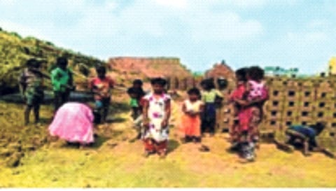 आदिवासी विद्यार्थ्यांच्या शिक्षणात 'खो': वसतिगृहासाठी प्रशासनाचे प्रयत्न; आठ तालुक्यांची माहिती सादर