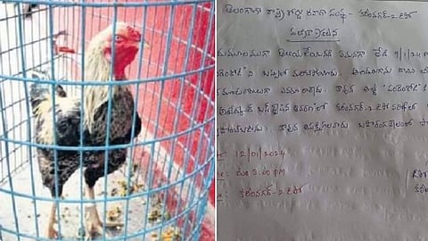 सरकारी बसमध्ये प्रवासी 'झुंजीचा कोंबडा' विसरला, अधिकाऱ्यांनी लिलाव जाहिर केला; पण तितक्यात...