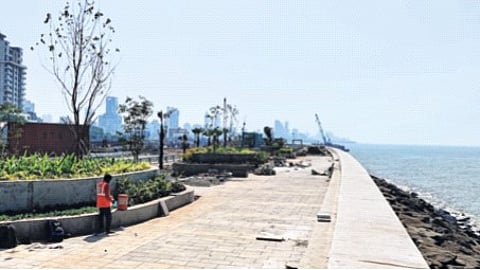 वरळी ते मरीन लाइन्स मार्गिका अंशतः खुली होणार; फेब्रुवारीच्या पहिल्या आठवड्यात उद्घाटन, कोस्टल रोड प्रकल्पाचे ८४ टक्के काम फत्ते