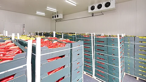 कोल्ड स्टोरेजमधील अनधिकृत व्यापार बंद करा; व्यापारी, माथाडी यांची मागणी