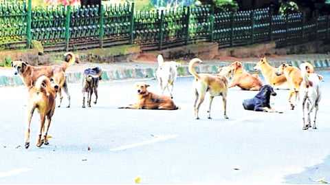 प्रातिनिधिक छायाचित्र