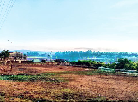 मुरूड-एकदरा परिसरात पहाटे धुक्याऐवजी विषारी धुराची चादर