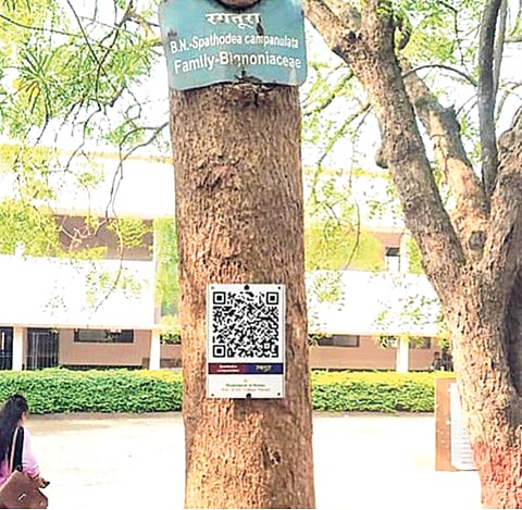 क्यू आर कोडच्या माध्यमातून झाडांची माहिती;
२१ उद्यानांतील २००० झाडांवर क्यू आर कोड