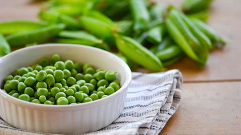 हिवाळ्यात मटार खाल्ल्याने होतात शरीराला भरपूर फायदे