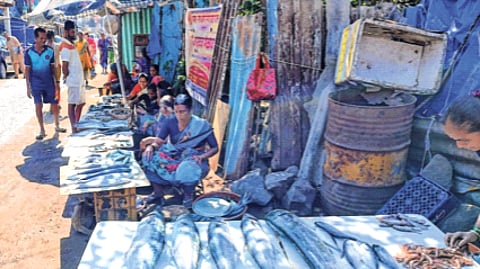 प्रातिनिधिक छायाचित्र