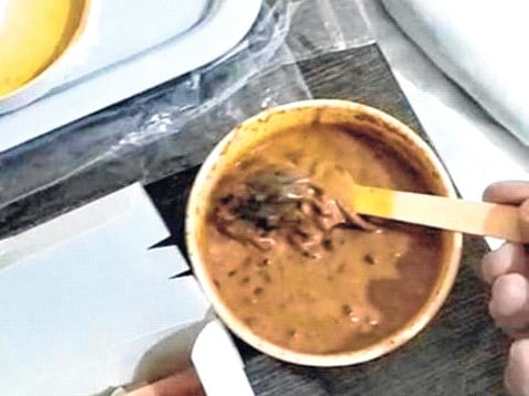 मुंबई : BBQ Nation रेस्टॉरंटमधील जीवघेणा प्रकार; शाकाहारी जेवणात सापडला उंदीर, झुरळ