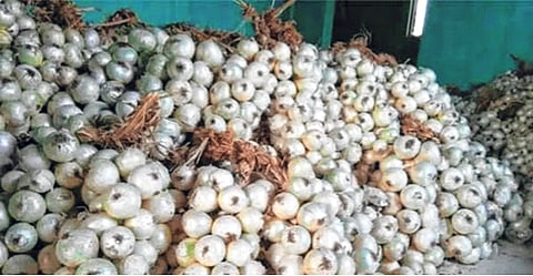 (संग्रहित छायाचित्र)