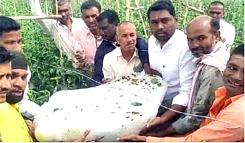 ग्रामीण महाराष्ट्राला अवकाळी-गारपिटीने झोडपले, पुढील 5 दिवसात 'या' भागांत गारपीट, वादळी वाऱ्यासह पावसाचा अंदाज