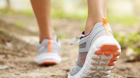 निरोगी राहायचे असेल तर दररोज काही मिनिटे तरी चाला !