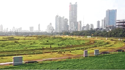 रेसकोर्सच्या भवितव्याचा निर्णय मुंबईकरांना घेऊ दे! भाजपच्या माजी नगरसेवकाचे आयुक्तांना पत्र