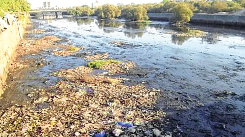 मुंबईची तुंबई होणार; मिठी नदीच्या सफाईसाठी कंत्राटदारच नाही, स्थायी समितीत सदस्य आक्रमक