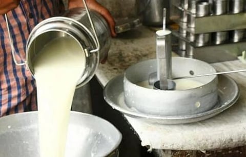 Interim Budget Special : दुग्धोत्पादक आणि मच्छिमारांना दिलासा