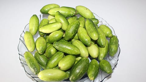 मधुमेहाने त्रस्त असलेल्या लोकांनी खावी 'बिंबी फळा'ची भाजी