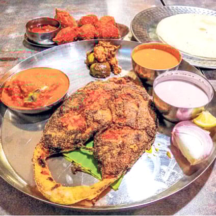 देशात मत्स्यखवय्येगिरी वाढली; मासे खाण्यात ८१ टक्के वाढ, 'या' राज्यात सर्वाधिक प्रमाण : अभ्यासातून निष्कर्ष