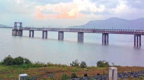 मोरबे धरणात ४९ टक्के पाणीसाठा