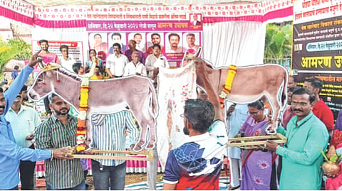 खारेपाट पाणीप्रश्नाकडे लक्ष वेधण्यासाठी ‘गाढवाचे लग्न’; नागरिकांचा उत्स्फूर्त प्रतिसाद